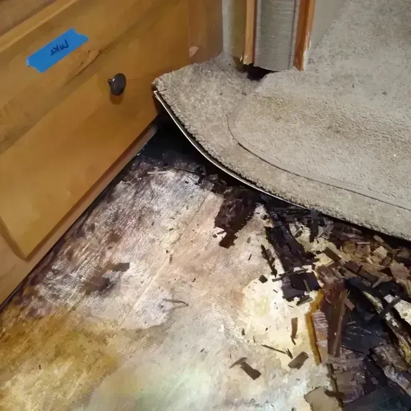 Best Wood Floor Water Damage Service in Greenville, DE